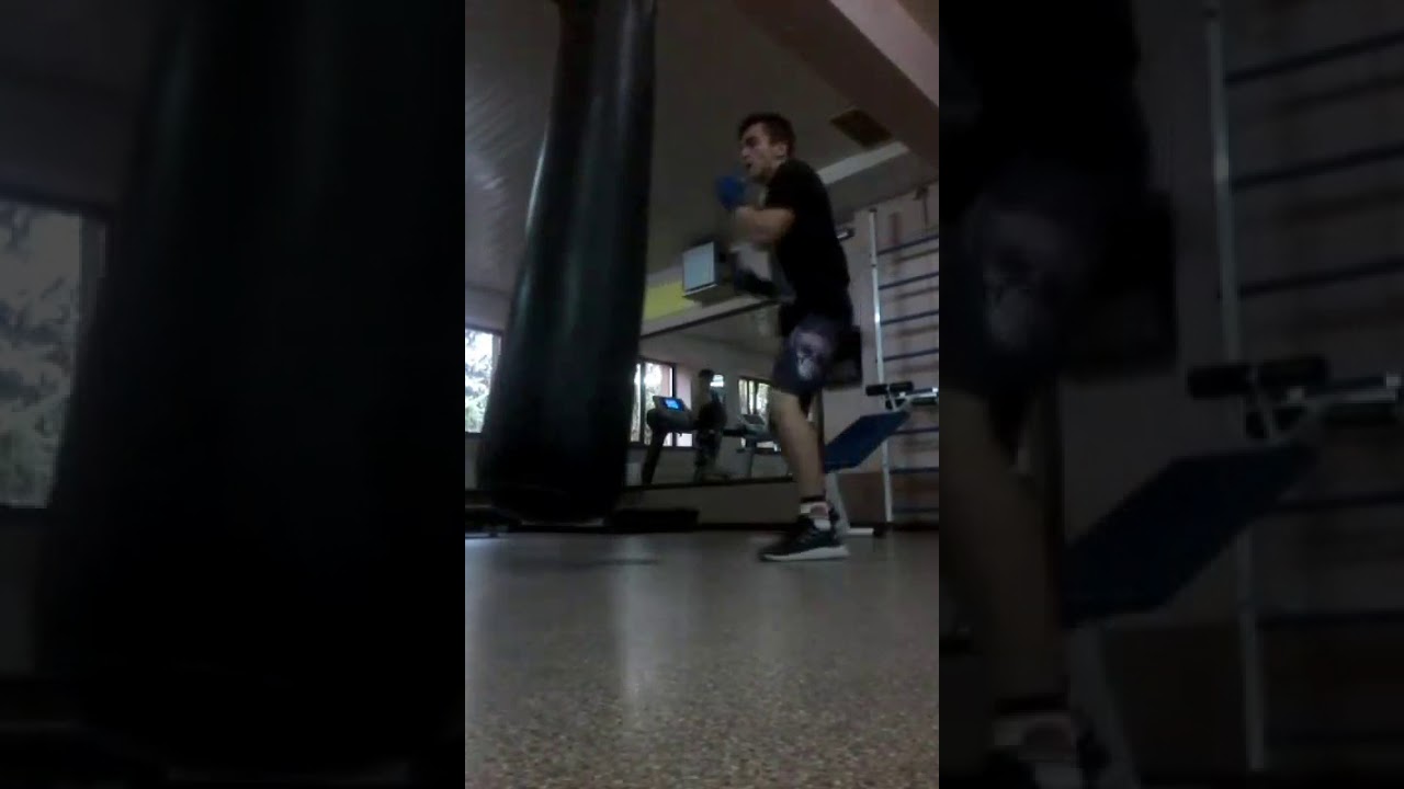 boxing ileal punching in the gym