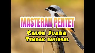 MASTERAN PENTET CALON JUARA TEMBAK NASIONAL