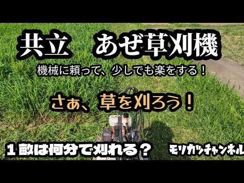 Kyoritsu AZ850A Weed Trimmer: Make cutting grass a little easier