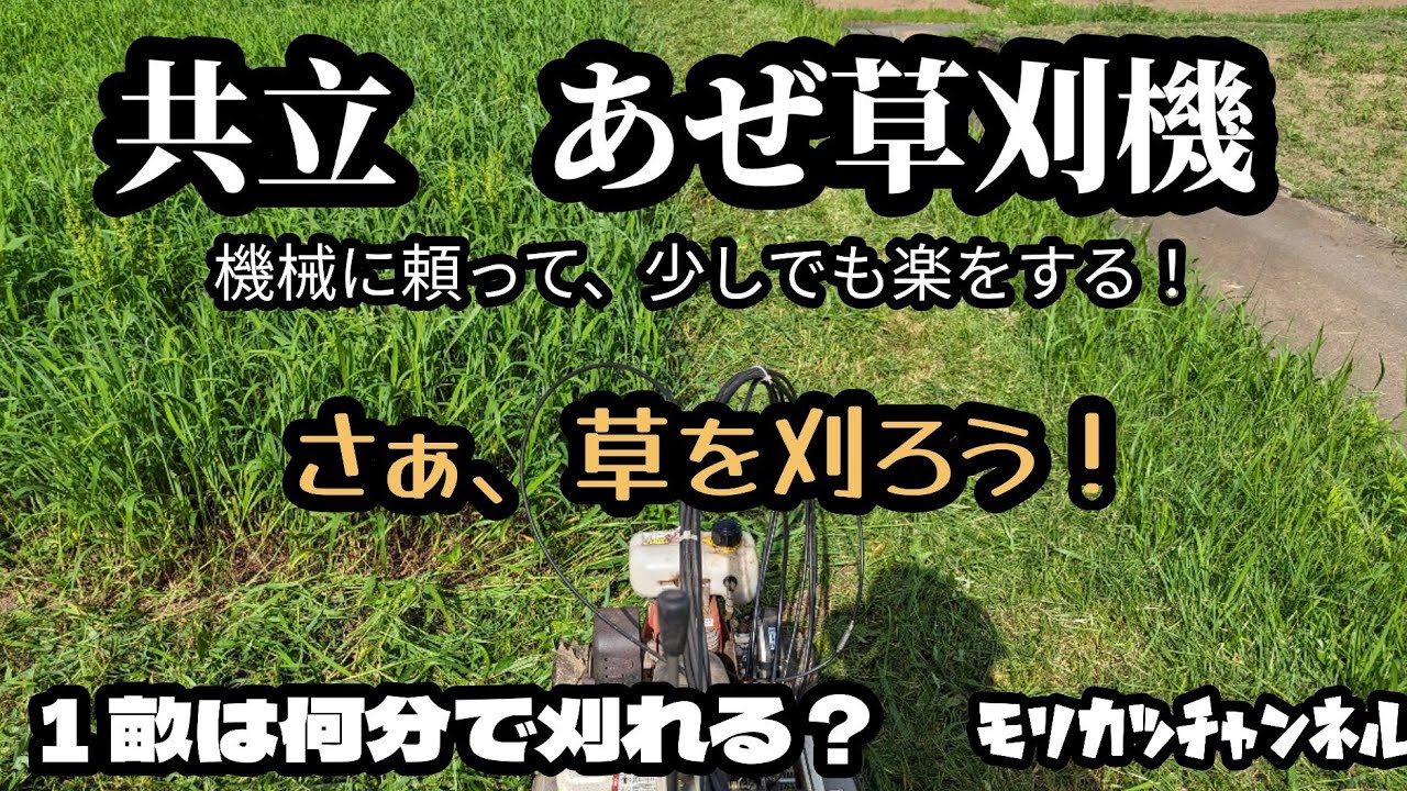 Kyoritsu AZ850A Weed Trimmer: Make cutting grass a little easier