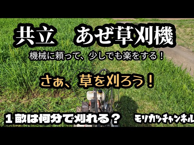 Kyoritsu AZ850A Weed Trimmer: Make cutting grass a little easier