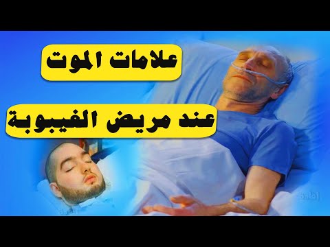 فيديو: 4 طرق رائعة لعلاج الجرو الخاص بك