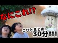 【こびとづかん】30分!! 危険なこびとから、楽しいこびとまで!!