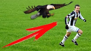 Comedy Football 2017 ● Bizzare, Epic Fails, Funny Skills, Bloopers