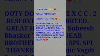 #indian #champion #CRISPY-TIMIT-TOR #dog #rottweiler #rottweilers  #dogshorts #pets #pet  #doglover