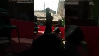 Goyah By Vera Veronica