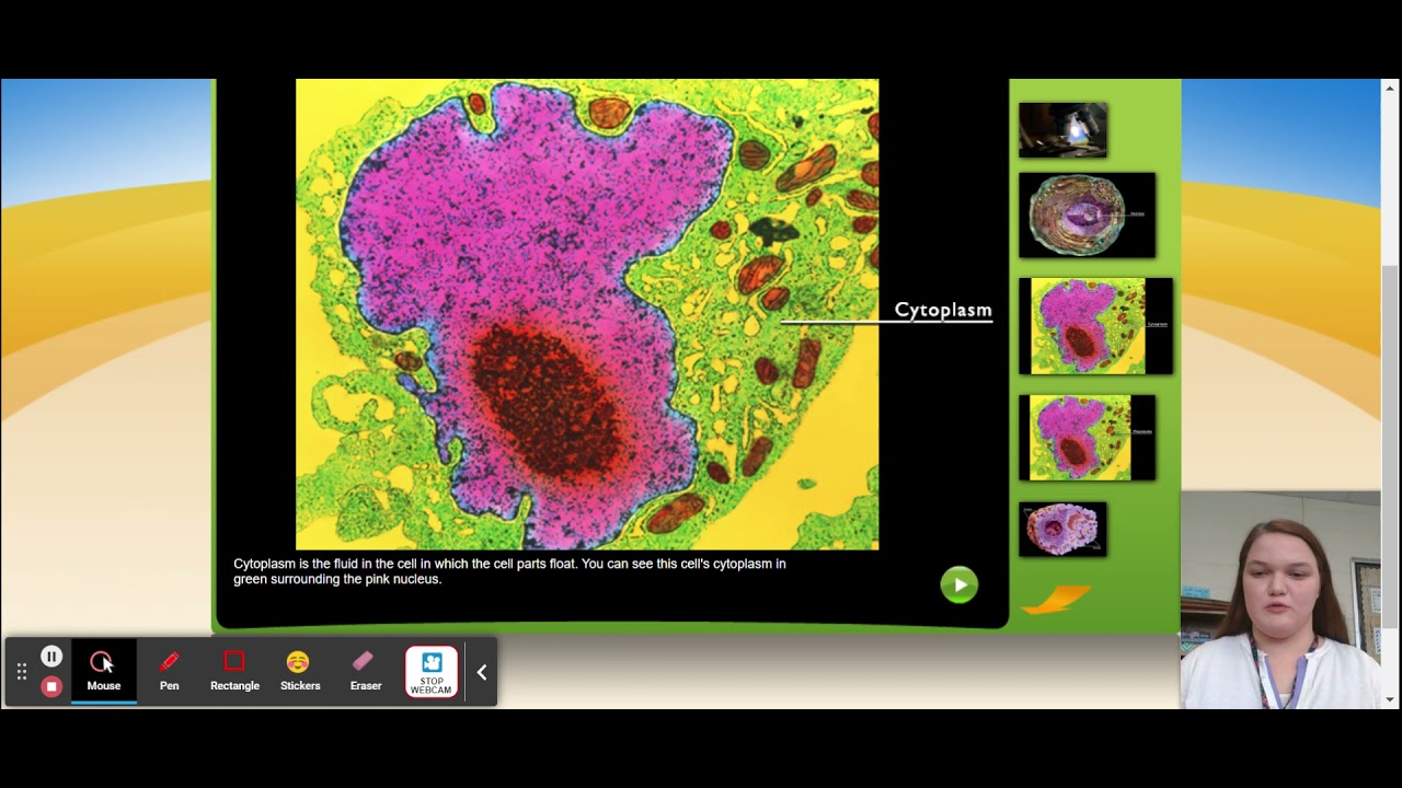 Read Aloud - Animal Cells StudyJams!
