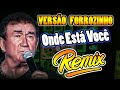 ONDE ESTA VOCE AMADO BATISTA | VERSÃO REMIX FORROZINHO