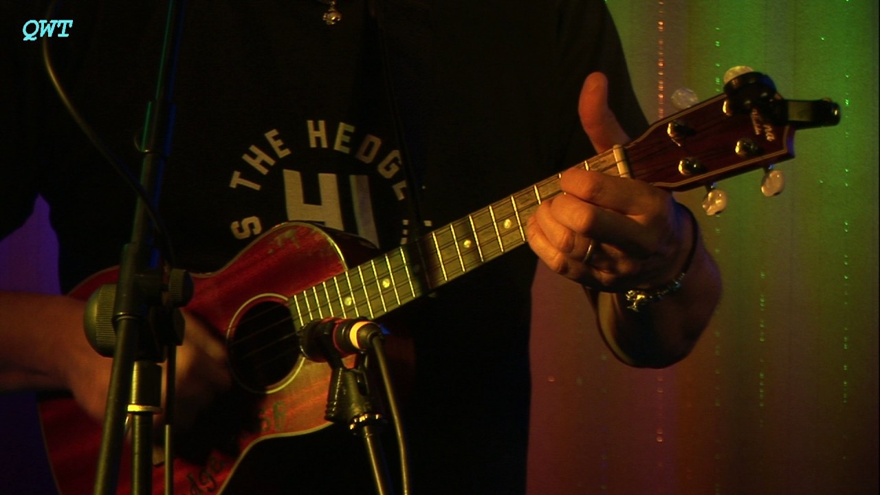 Hedge Inspectors - Preowned