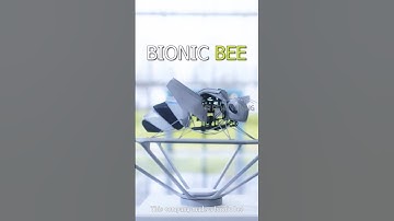 Meet the Bionic Bee that Could Save Our Ecosystem!