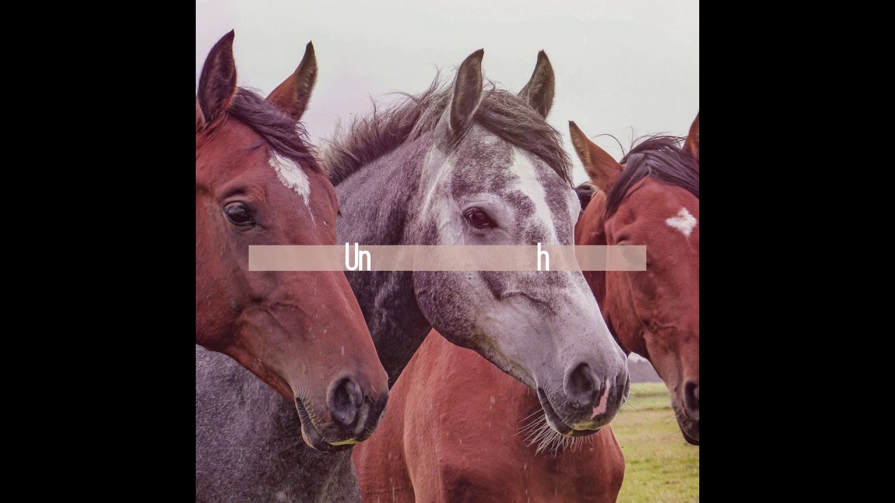 Vuoi trascorrere una giornata in un ranch?