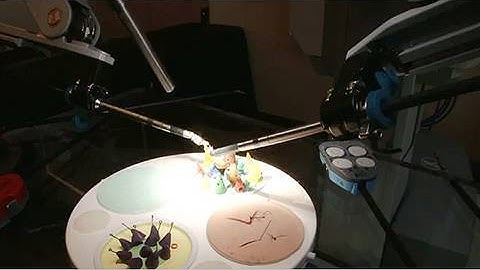 Stanford Throws a Robot Block Party