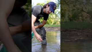 Restoring Mussel Populations in PA