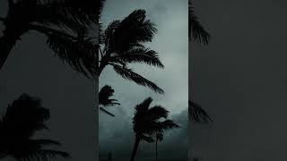 5 интересных фактов о торнадо (часть 1) #tornado #facts #торнадо #смерч
