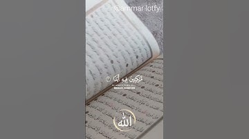 الحمد لله الذي أنزل على عبده الكتاب ولم يجعل له عوجا القارئ #سعود_الشريم #ammar_lotfy110 #quran