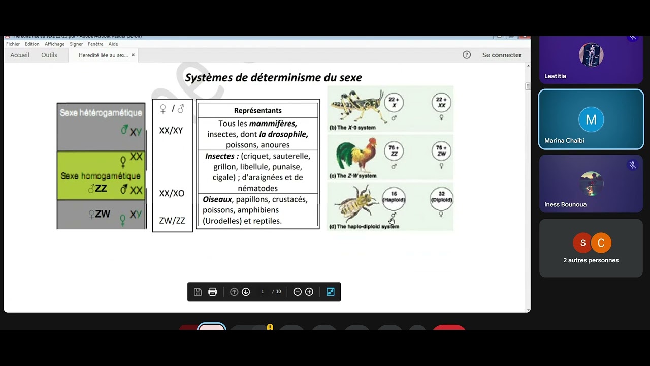 GÉNÉTIQUE : Hérédité liée au sexe.
