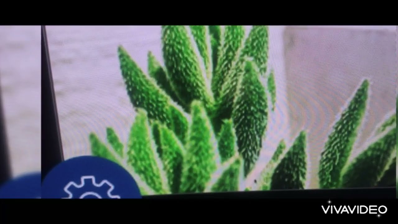 HOW TO SET YOUR SAMSUNG TV TO ENERGY SAVING MODE