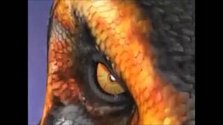 Dinosaur King Secret Dinos Amv