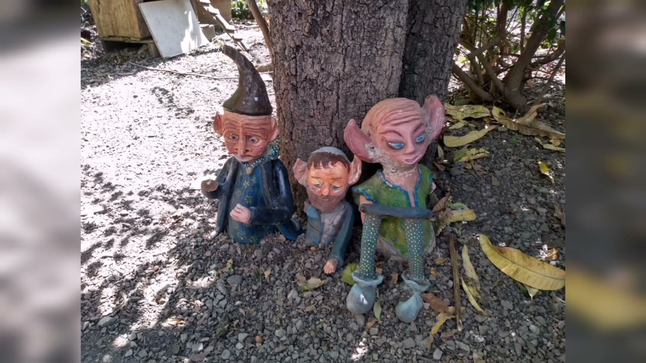 EL Páramo de los duendes Huaquechula Puebla