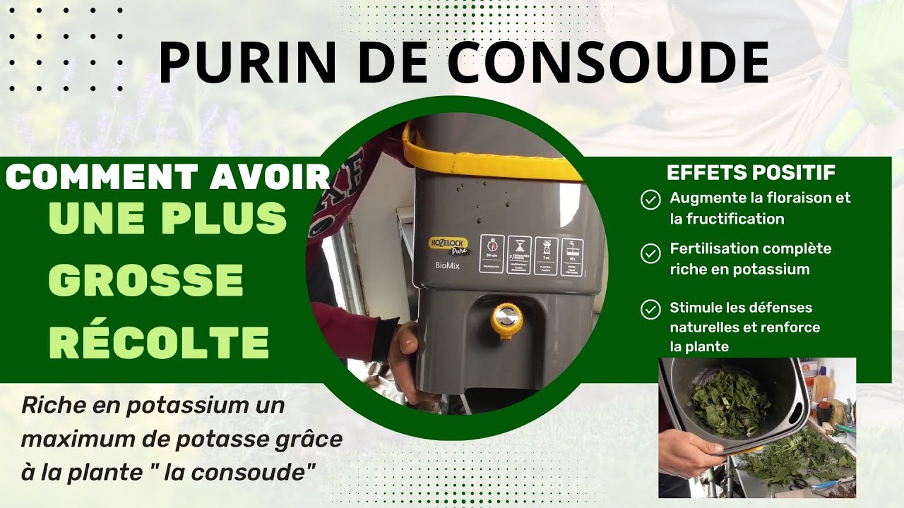 Comment Faire Pour Avoir Un Gros Randement Growbox