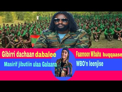 Oduu News Saamichi Gibira Dachaa Ta Ee Masrin