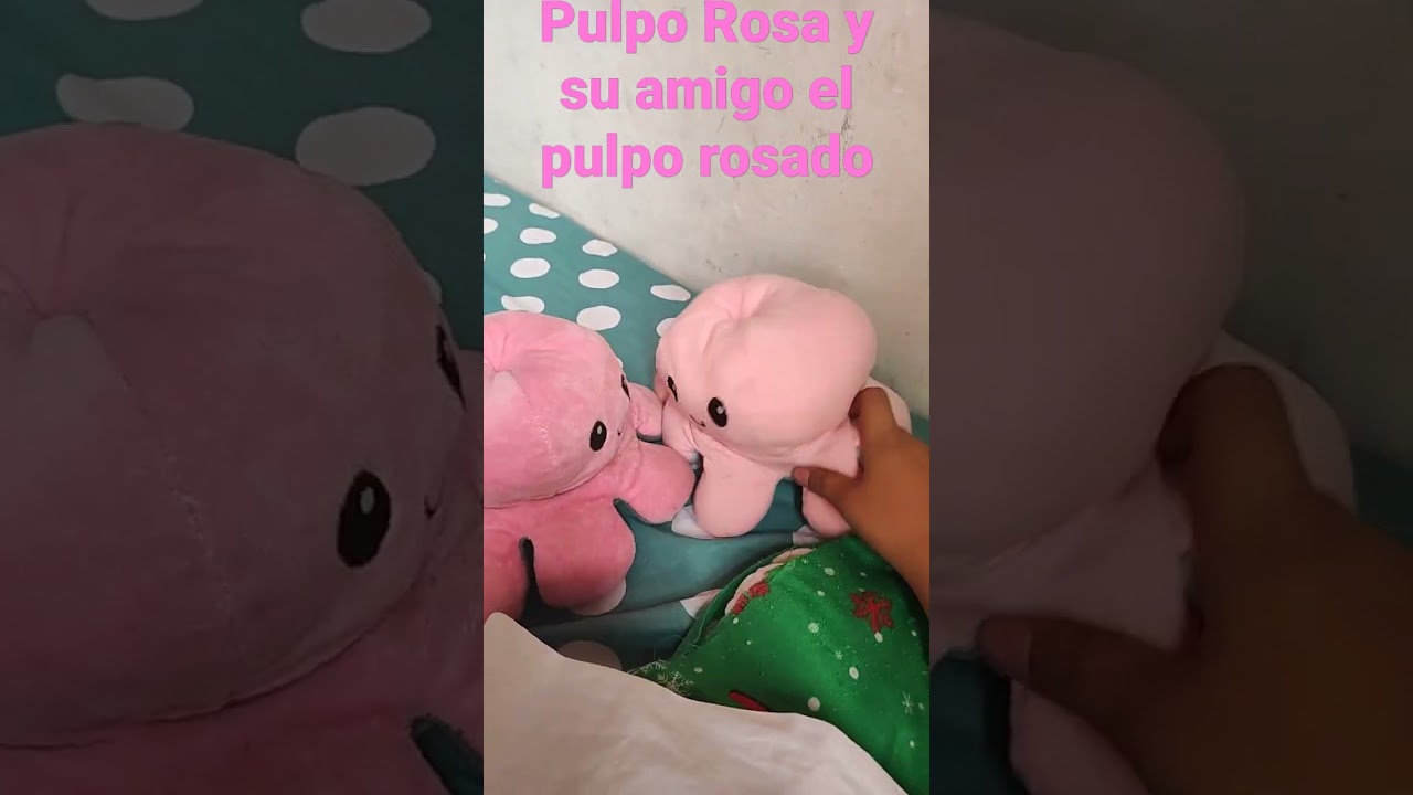 pulpo reversible