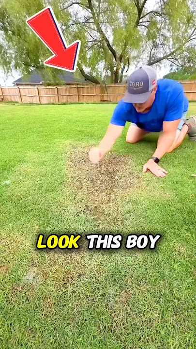 What Is He Hiding There