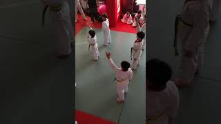 Taekwondo