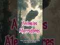 Animales terroríficos #datoscurisos #terror #curiosidades #terrorymisterio #miedo #shorts