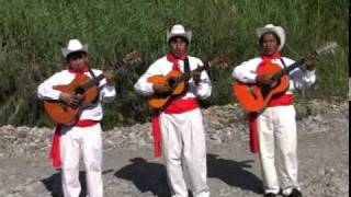 Trío Los Trigales - El Trigo chords