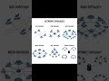Network Topologies Explained | Network Educative