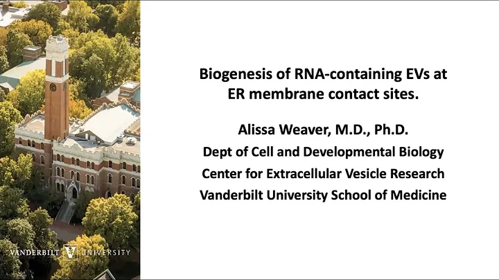 ERCC Webinar: Alissa Weaver - Biogenesis of RNA-co...
