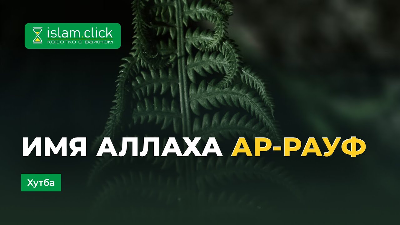 Имена Аллаха  Ар-Рауф | Абу Яхья Крымский
