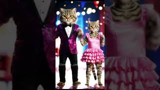 Cat In Costumes Dance The Macarena