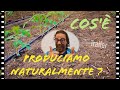 Produciamo Naturalmente Divulgazione Agricoltura Sostenibile