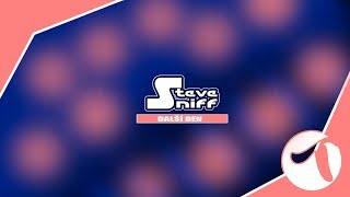 STEVE SNIFF - Další den (unOfficial lyrics video)