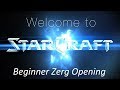 Beginner Zerg Opening - Welcome to Starcraft