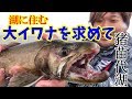 湖に潜む巨大イワナを求めてpart２