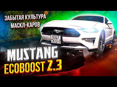 Wideo: Czy Mustang EcoBoost jest szybki?