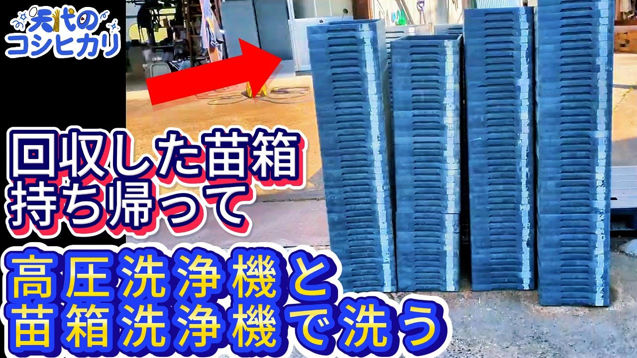 苗箱洗浄機】空になった苗箱の片付け作業 - YouTube