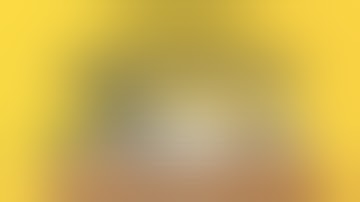 Video tutorial AKSELERASI  Penanggung Jawab Aksi Mitigasi