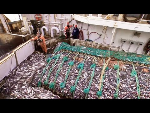 Life On Alaska's Largest Deep-Sea Trawling Vessel | Fish Factory On The High Seas