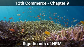 12th commerce || Chapter 9 || Significants of HRM