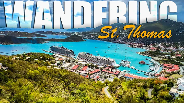 DO NOT Pay for Excursions in St. Thomas - Solo Travel!