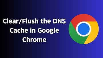 How to Clear/Flush the DNS Cache in Google Chrome ?