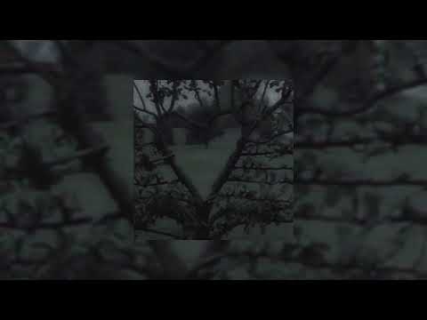 Enjambre, lo blondo - impacto (sped up)
