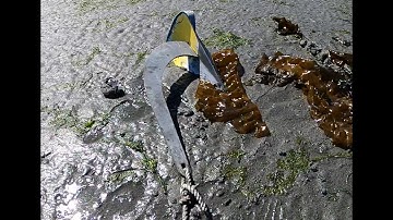 Anchor Seaweed Penetration.  Anchor Test Video #80.