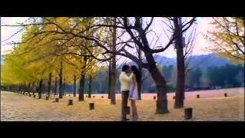 C:\Documents and Settings\Administrator\My Documents\Downloads\Video\videoplayback.FLV