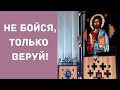 Священник рядом. Вопросы и ответы на актуальные темы. Как вести себя в условиях карантина.