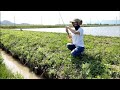 田舎の用水路でタナゴ釣り Small fish fishing の動画、YouTube動画。